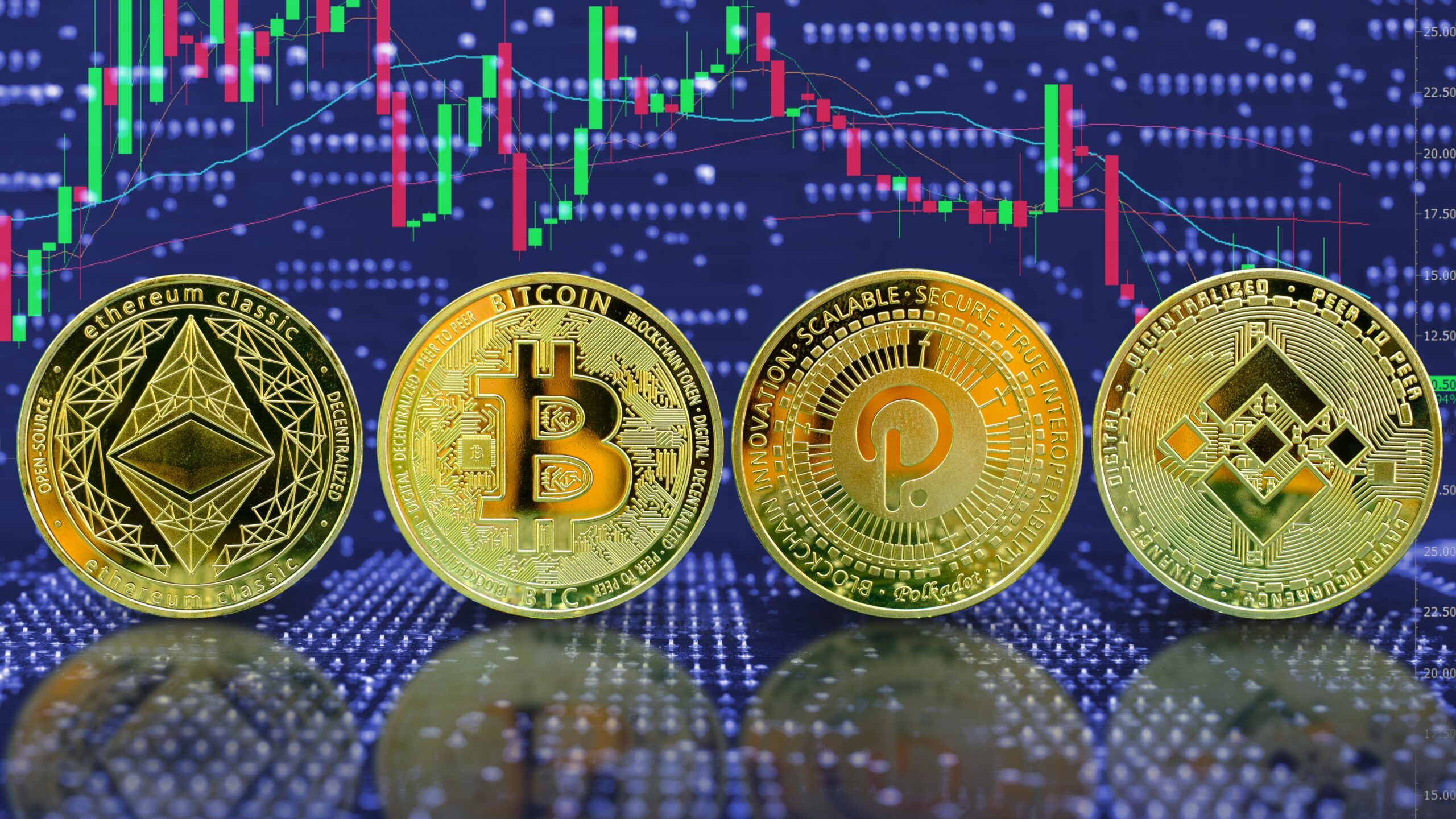 Which crypto coin is best for long term investment
